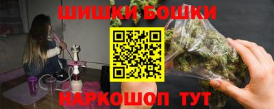 прущие грибы Бердск
